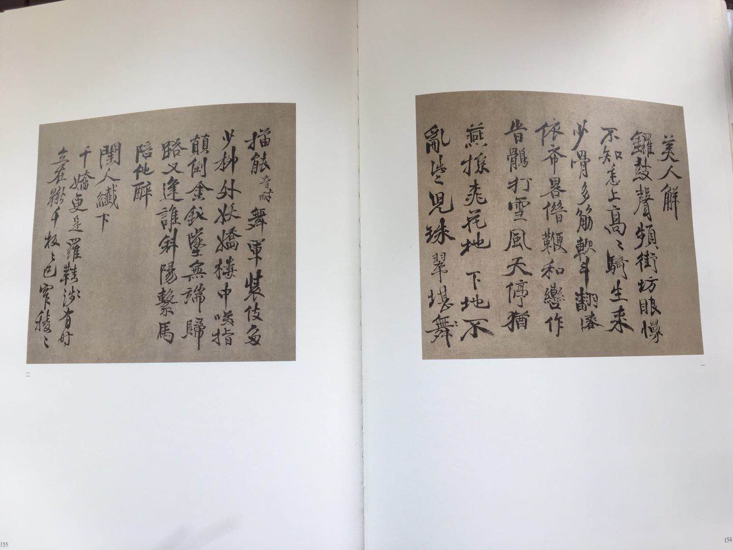 徐渭-行书册页局部.jpg